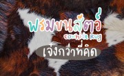 พรมขนสัตว์ เจ๋งกว่าที่คิด!